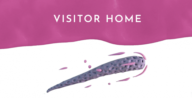 Visitor Home