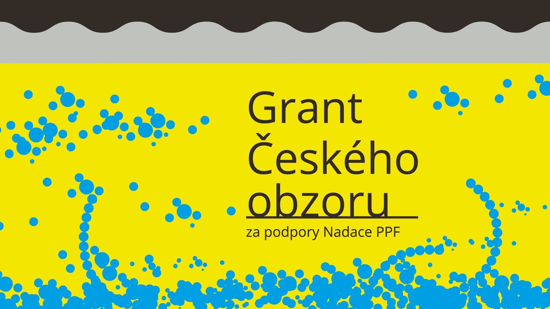 Czech Horizon Grant 2027 (Grant Českého obzoru), Anifilm — CZK 1,000,000 for a Czech Auteur Short Animation, Pitched in Liberec on 5 May 2027